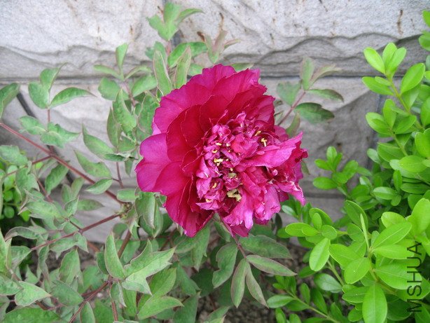 ��Ƭ 022_��С��С.jpg