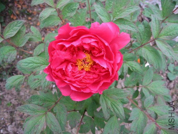 ��Ƭ 017_��С��С.jpg