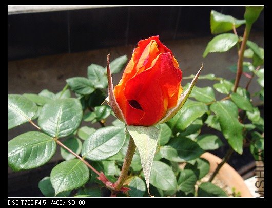 DSC00064.jpg