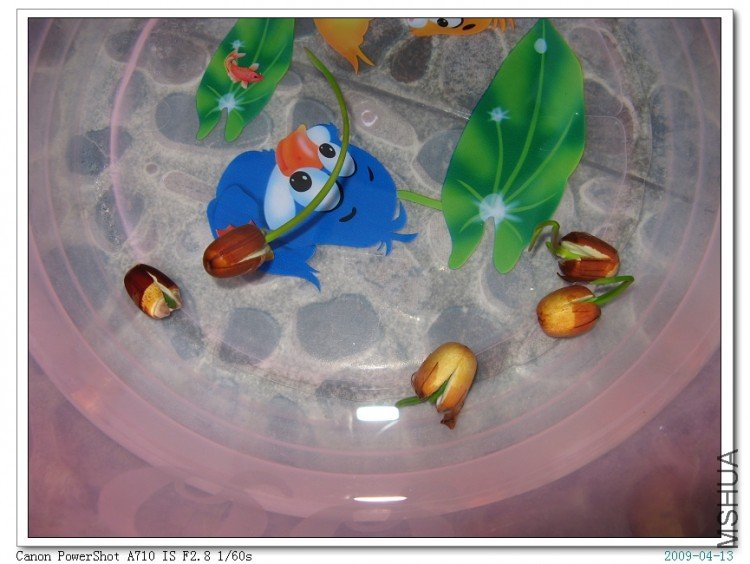 ����̫�����ã��������꣬���Ըо����ǳ����е�����