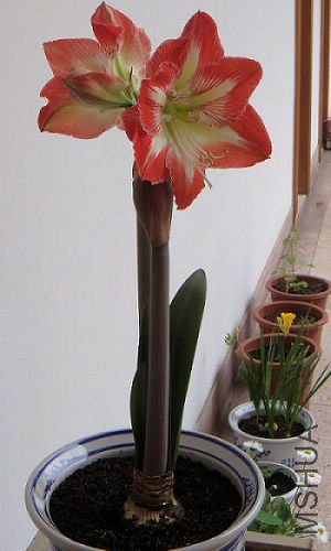 DSC00757.JPG