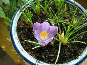 DSC00727.JPG