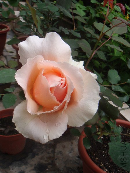 �����һ��