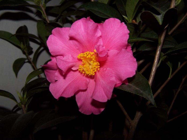 100_4831.jpg