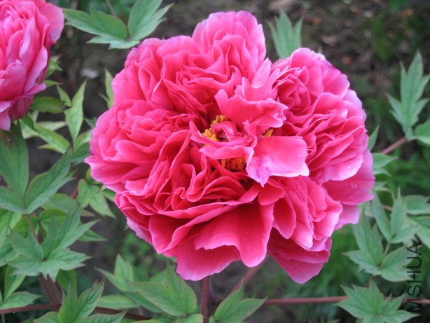 ��Ƭ 013_��С��С.jpg