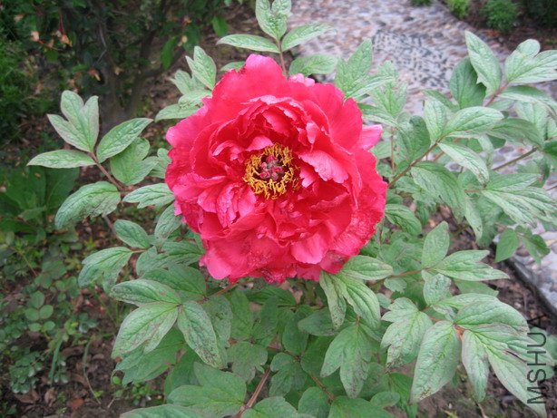 ��Ƭ 007_��С��С.jpg