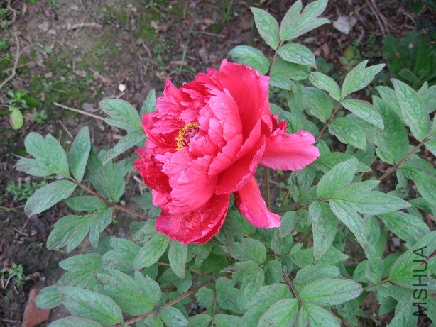 ��Ƭ 010_��С��С.jpg