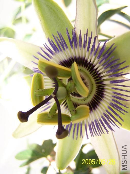 2005�����ģ����꺢��û�˵�������������ȥ��