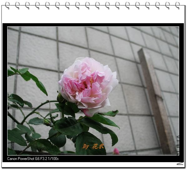 ��Ƭ 003.jpg