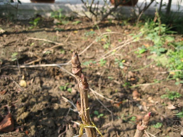 ��Ƭ 035_��С��С.jpg