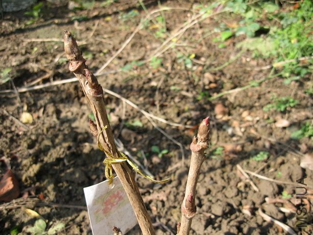 ��Ƭ 036_��С��С.jpg