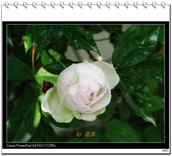 ��Ƭ 034.jpg