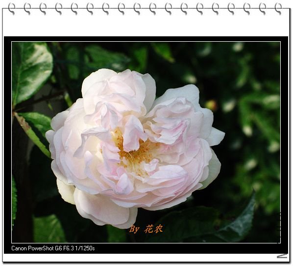 ��Ƭ 037.jpg