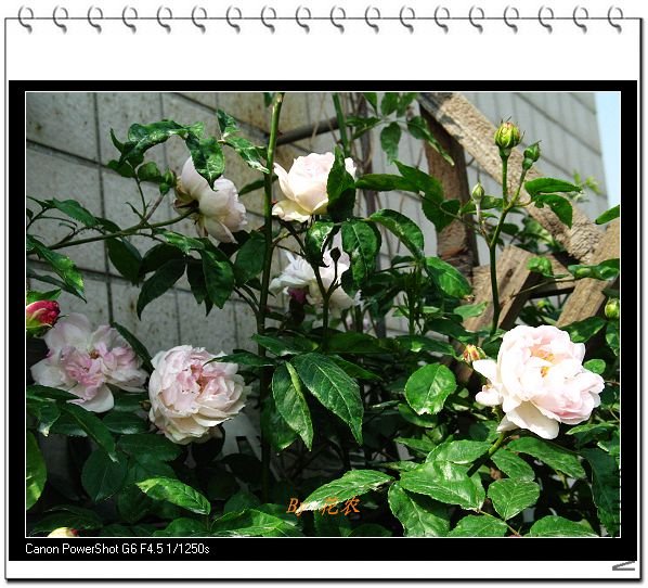 ��Ƭ 024.jpg