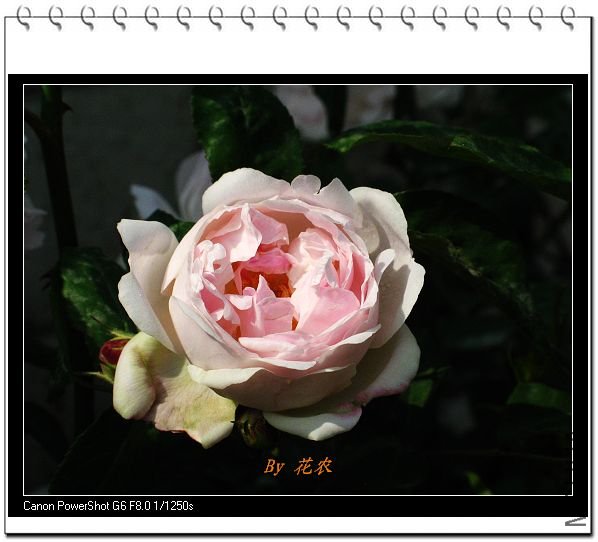 ��Ƭ 035.jpg