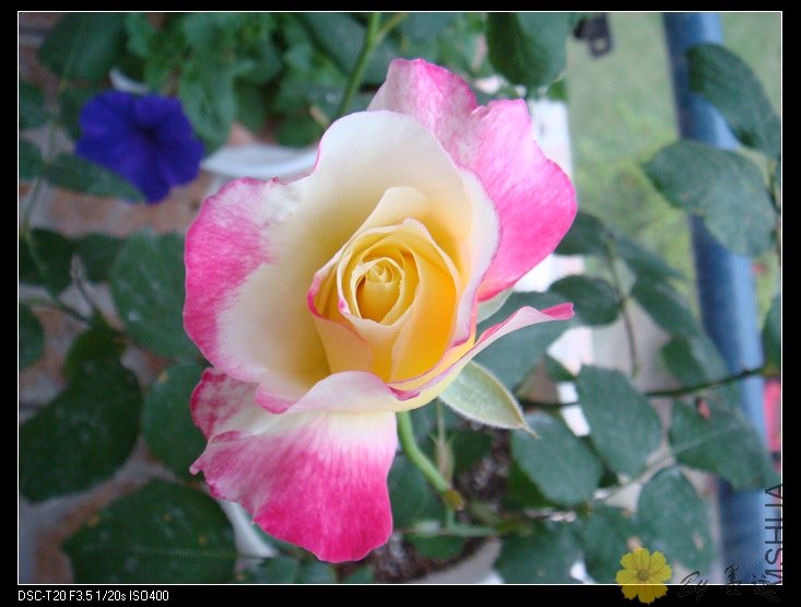 DSC02107.JPG