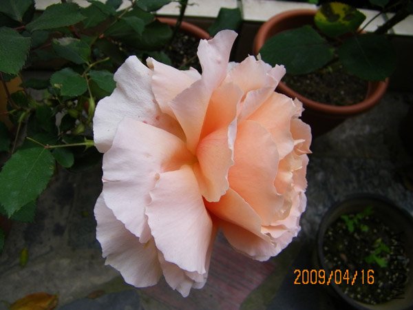 ��׼������һ��