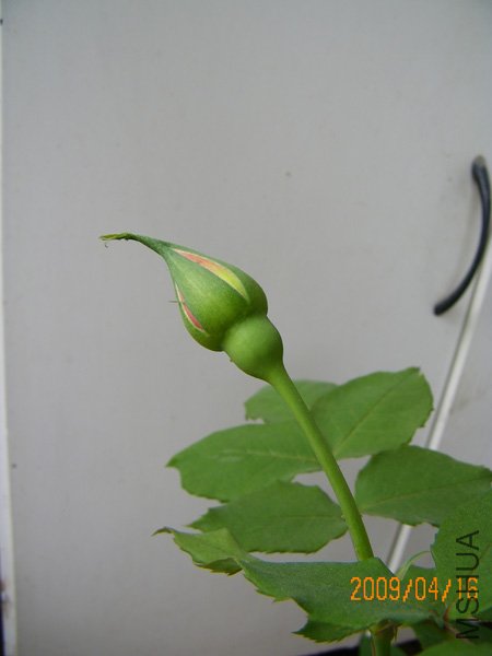 100_0172.JPG