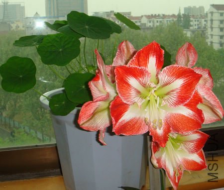 DSC00793.JPG