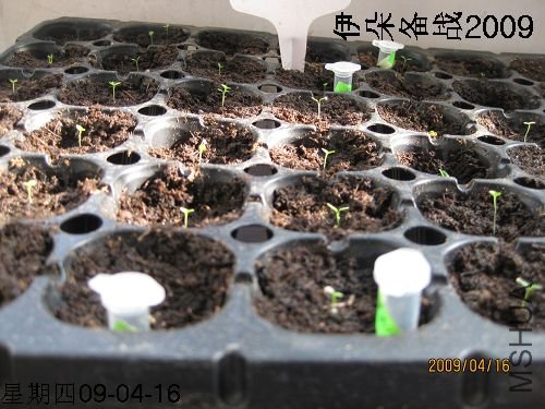 nEO_IMG_����֮�� 025.jpg