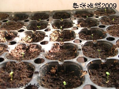 nEO_IMG_����֮�� 026.jpg