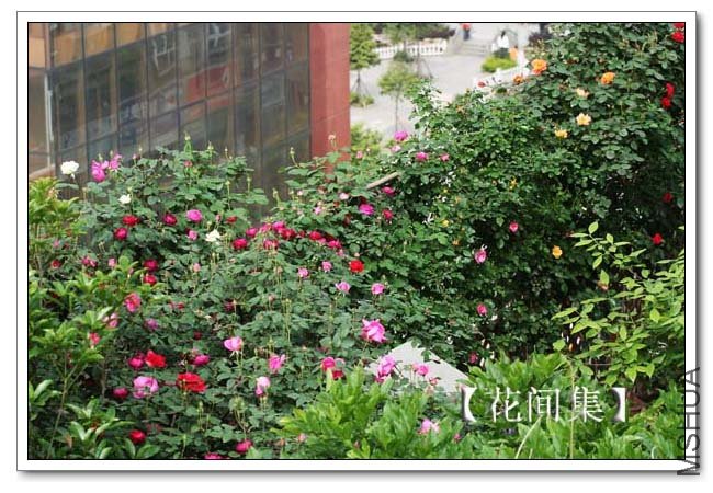 IMG_3997 ����.jpg