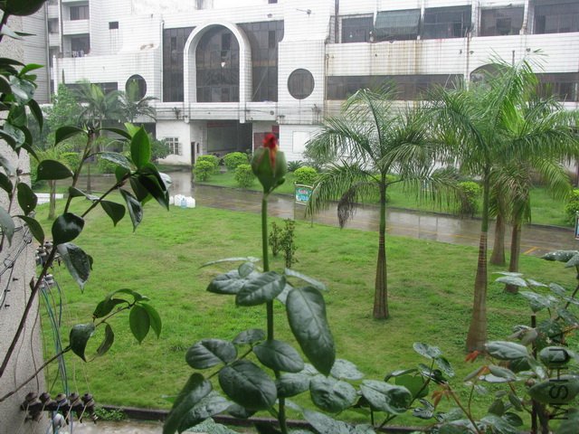 IMG_0207.jpg
