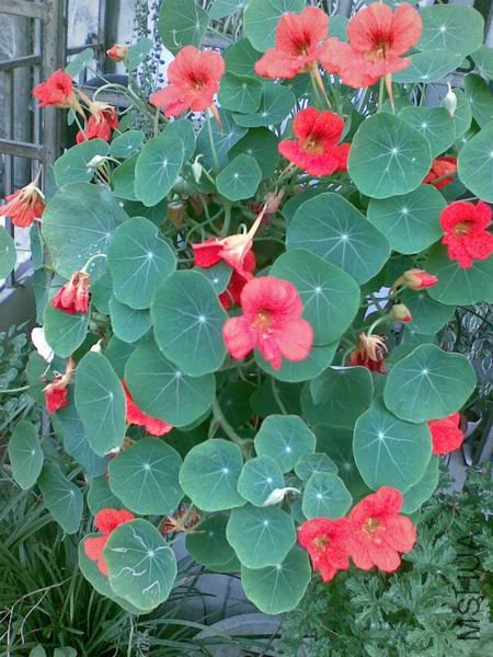 ������С С��1.jpg