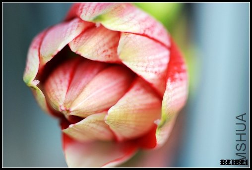 DSC_0307.jpg