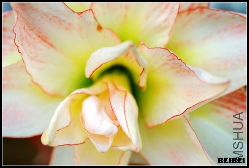 DSC_0343.jpg