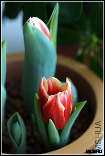 DSC_0225.jpg