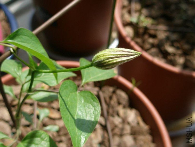 ���ٵĻ���Խ��Խ���ˡ�