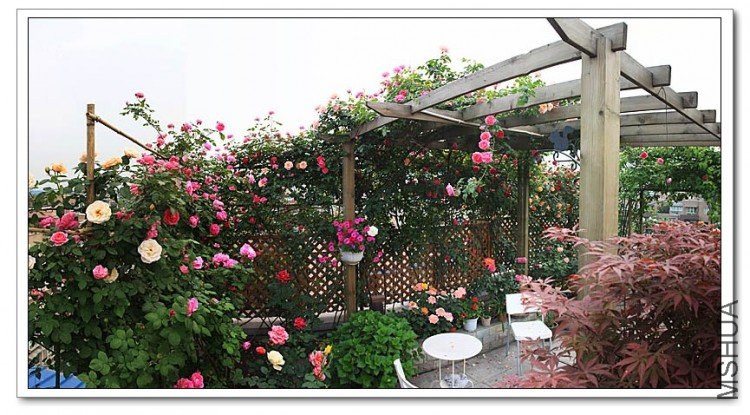 3YS7 ����.jpg