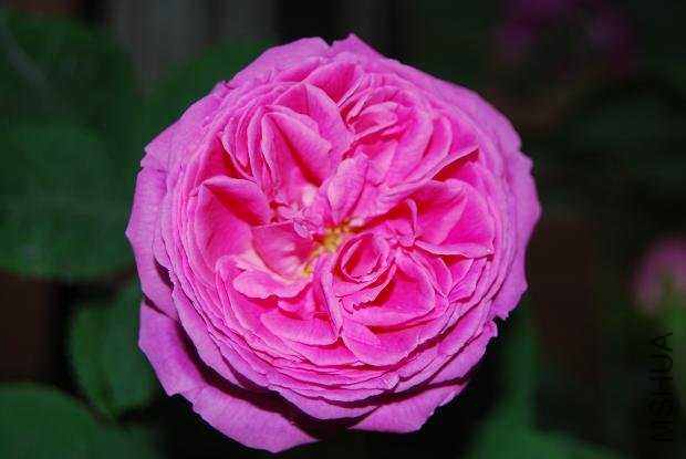 DSC_0151.JPG