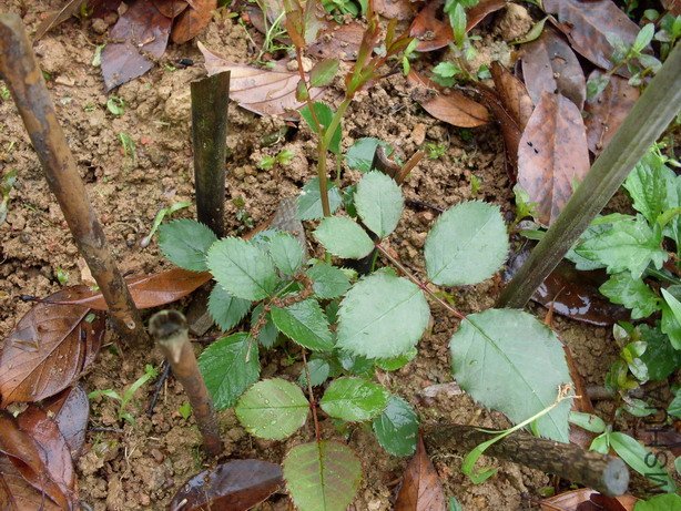 ά������