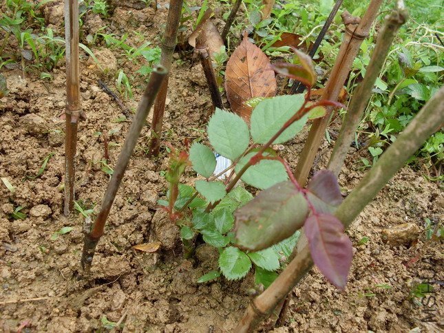 �����꣬��ôС�����Ȼ����������������