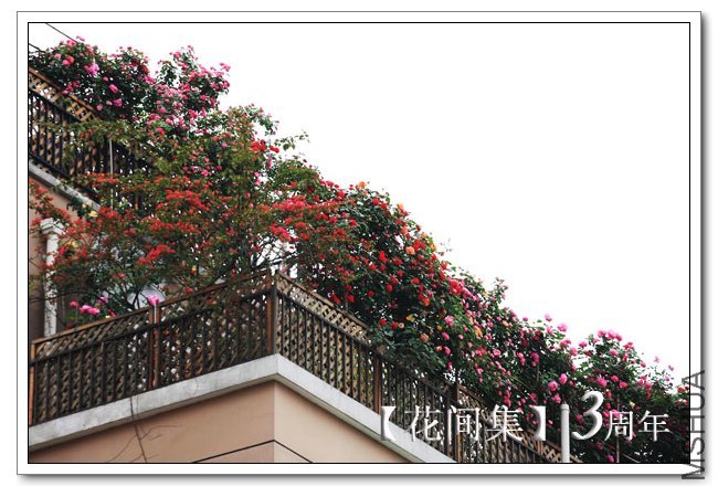 IMG_5261 ����.jpg