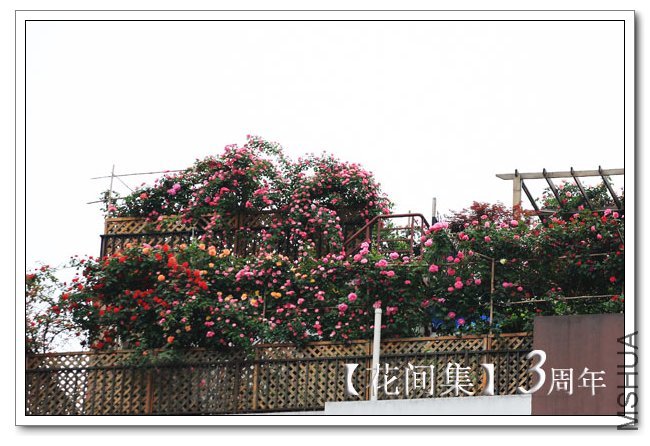 IMG_5253 ����.jpg