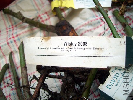 100_1033.jpg