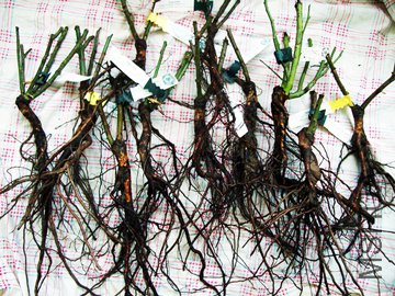 100_1034.jpg
