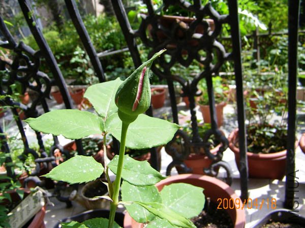 100_0182.JPG
