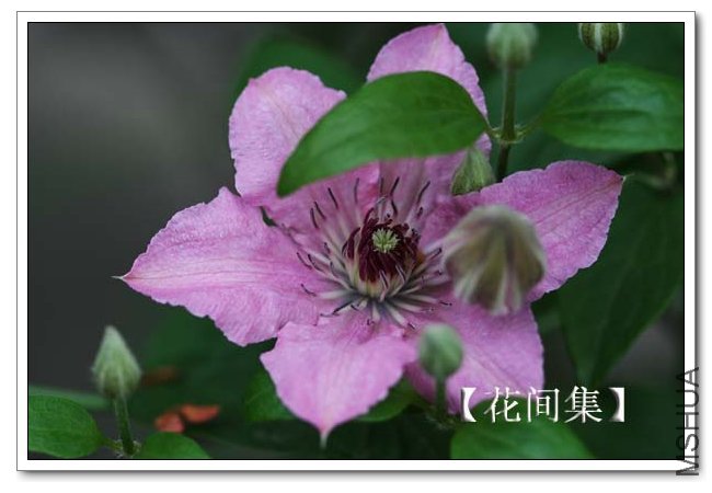 IMG_4270 ����.jpg