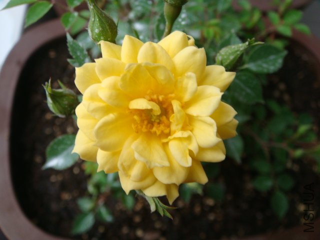 DSC00482.JPG