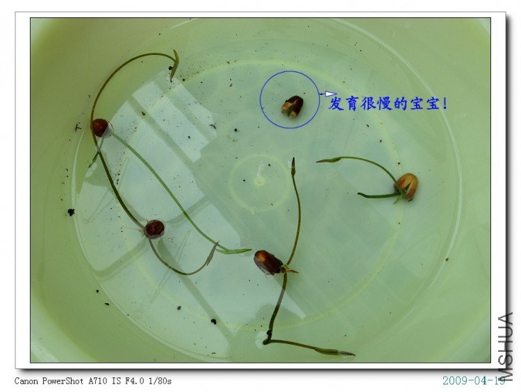 ���и��һ���ô�Ͳ����أ�