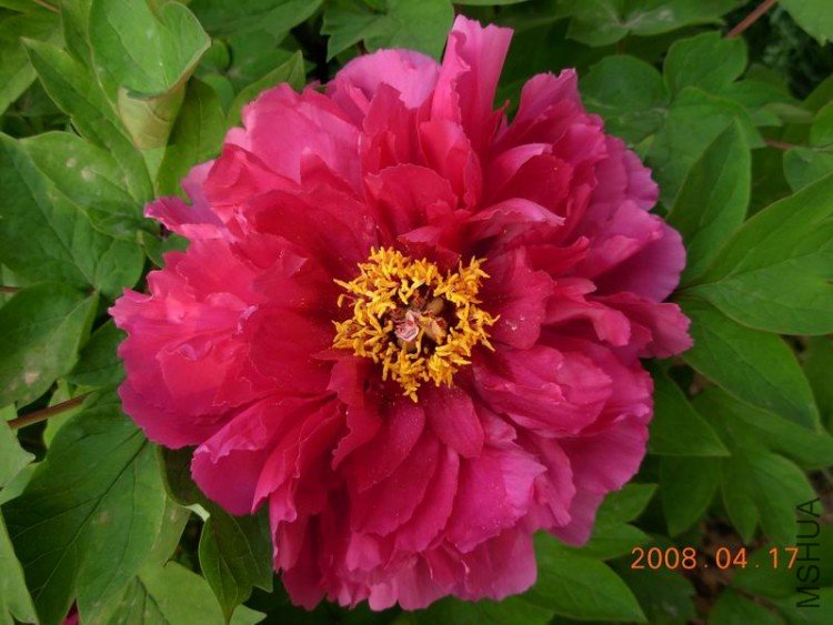 ������С DSCN1586.jpg