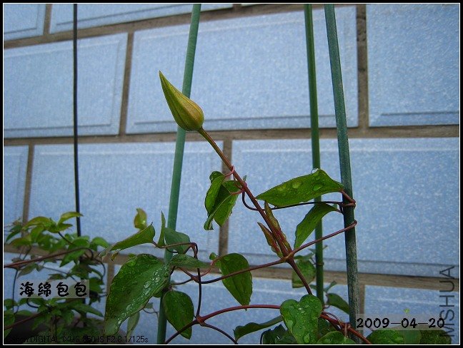 ���������е����