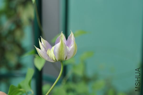 20090412�������� (2).JPG