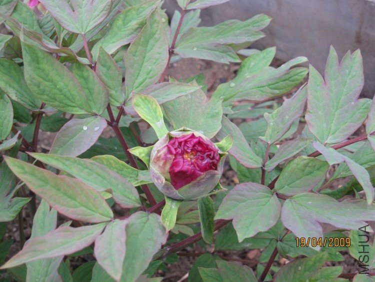 ��Ƭ 063.jpg