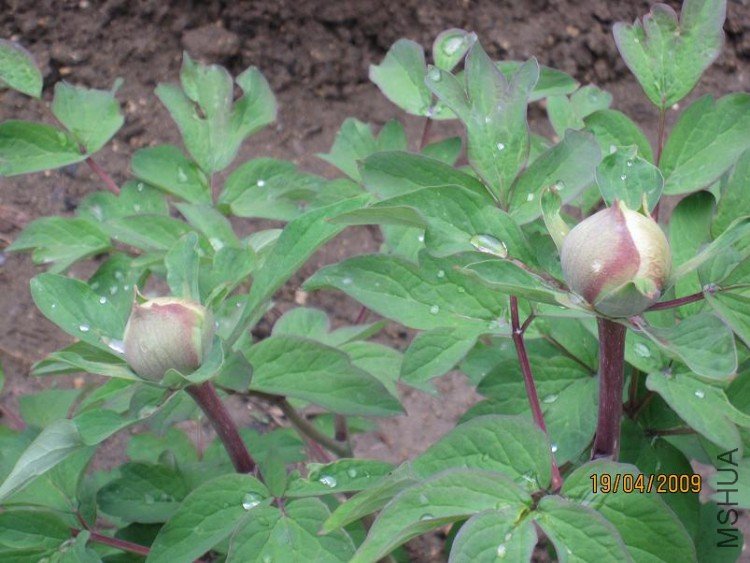 ��Ƭ 049.jpg