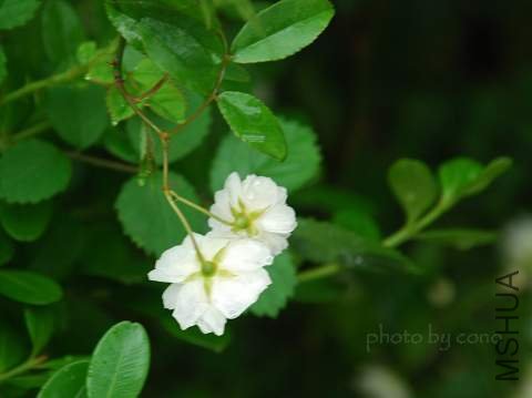 nEO_IMG_DSC_0128.jpg